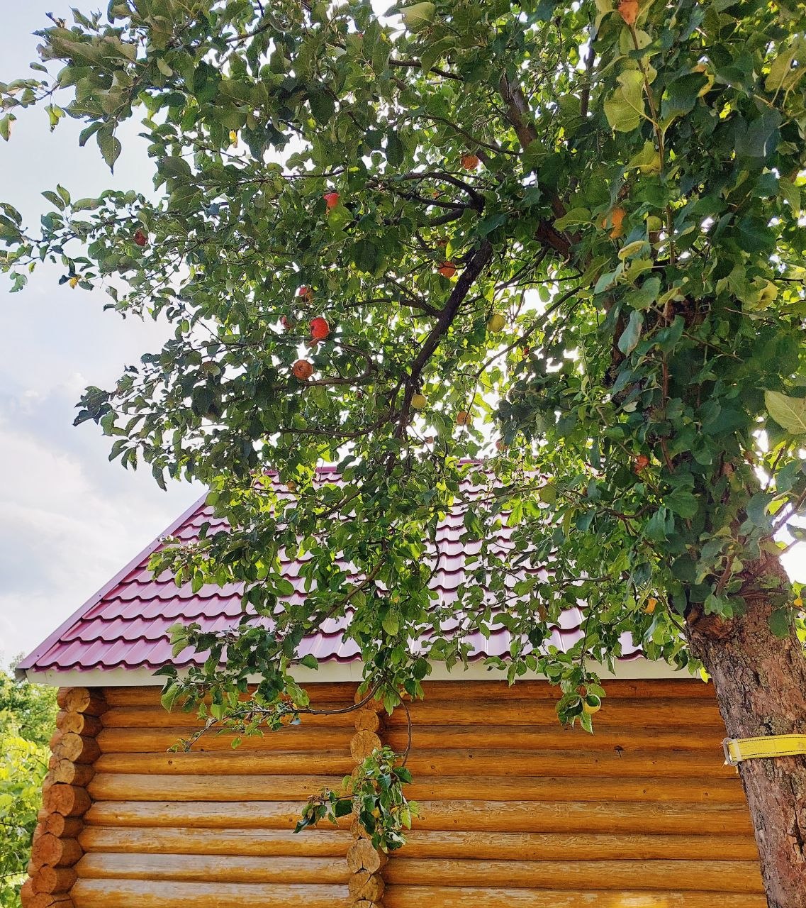 Фотография поста